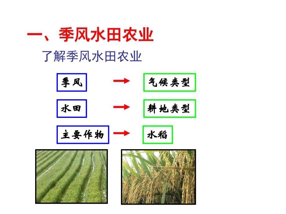 种植业为主的农业地域类型(共64张) (1)_第5页