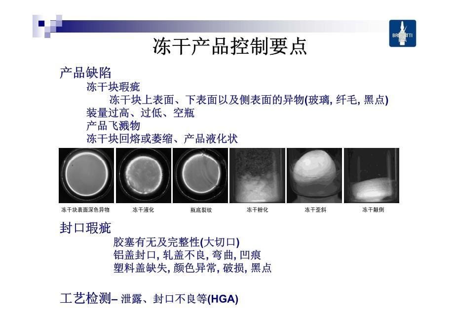 全自动灯检机冻干制品检测-石立新_第5页