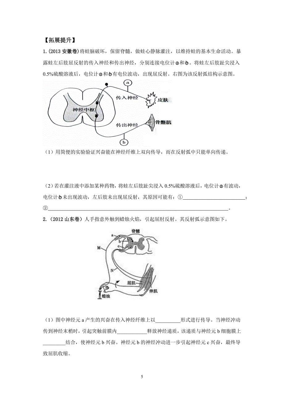 侯凤霞《通过神经系统的调节》课堂互动导学案.doc_第5页