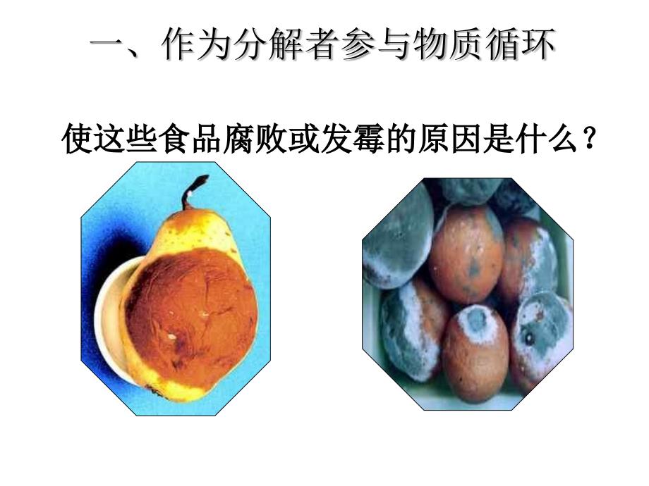 八年级生物细菌和真菌在自然界中的作用2(1)_第3页