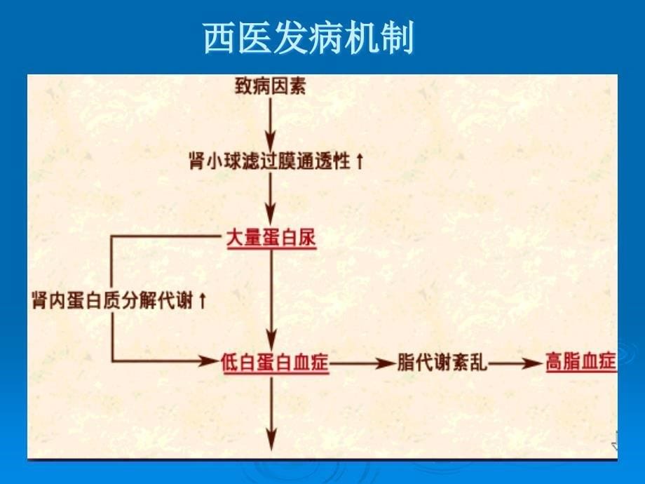 肾病综合症八版_第5页