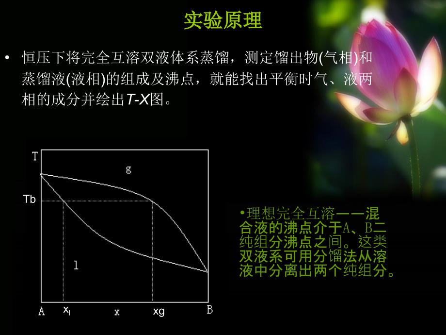 双液系相图的测定_第3页