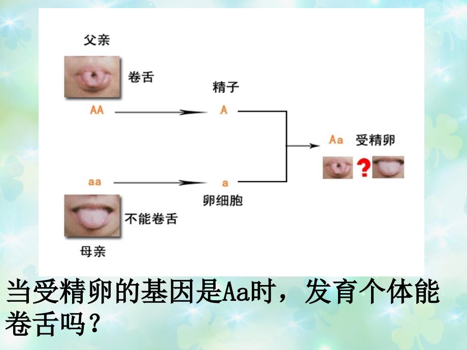 基因的显性和隐性_第4页