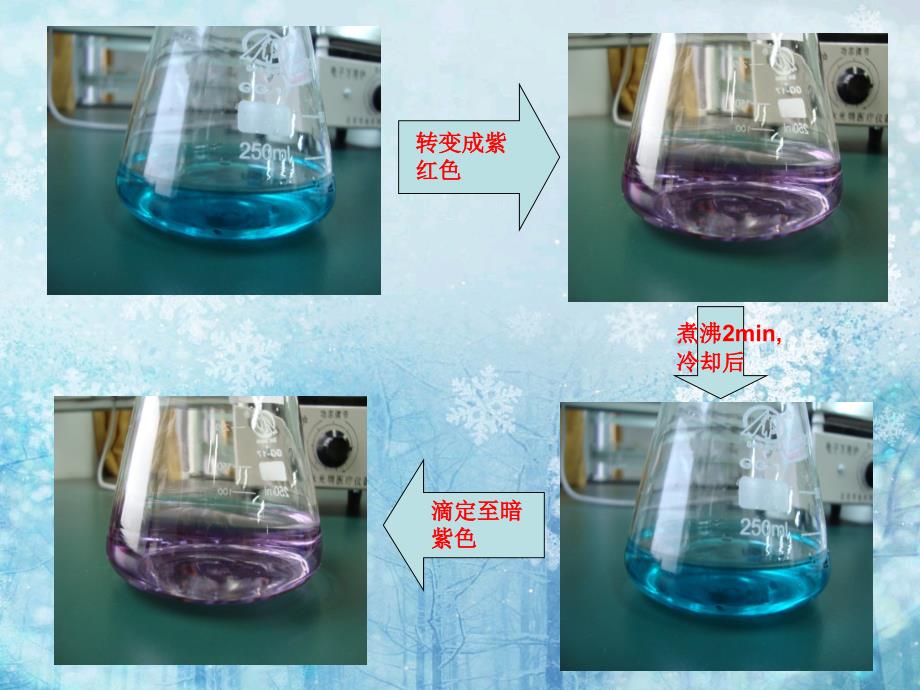 豆奶中蛋白质的测定_第4页