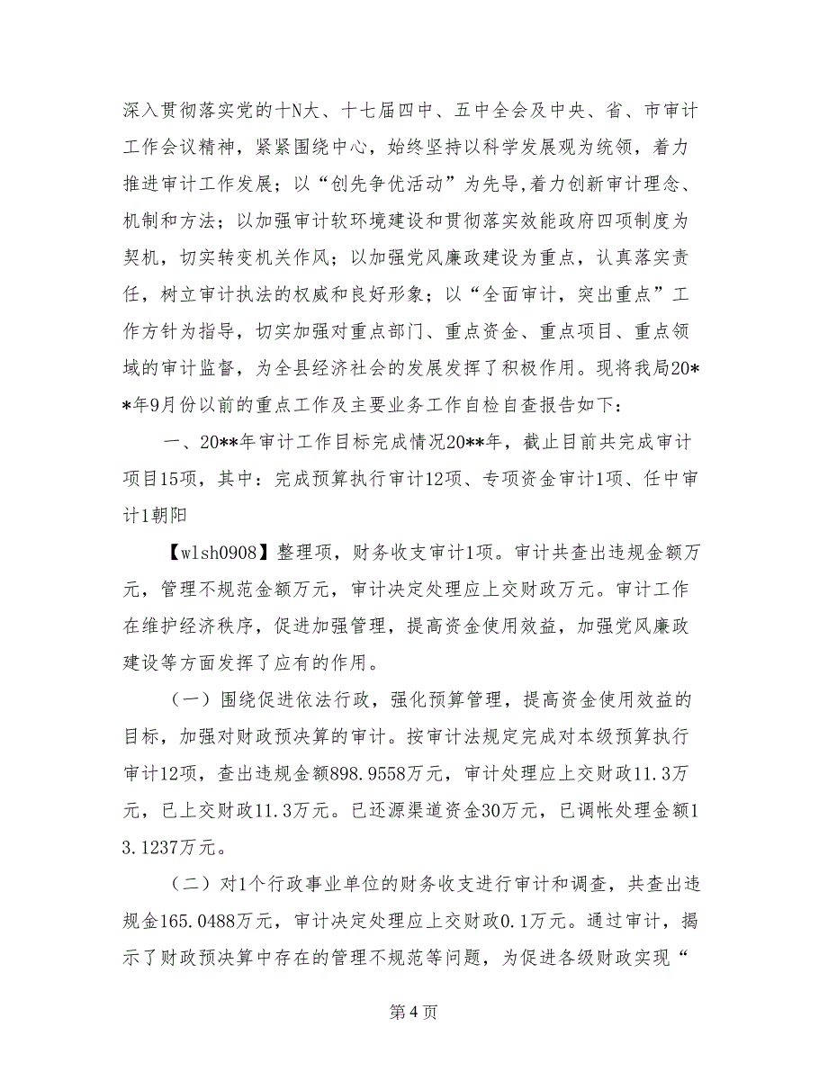 审计自检自查报告_第4页