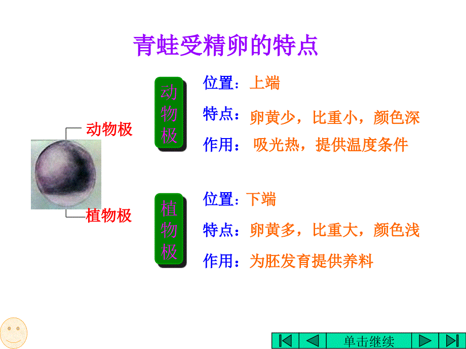 高二生物课件：昆虫的个体发育_第2页