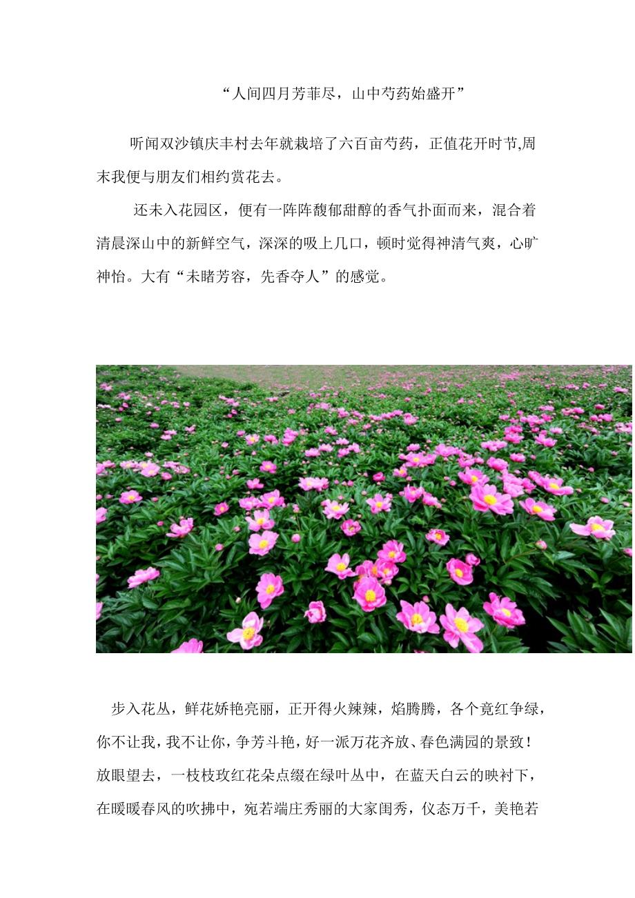 人间四月芳菲尽_第1页