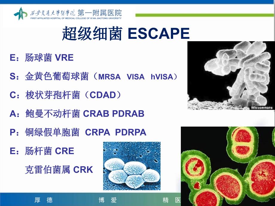 超级细菌流行现状及对策1212_第4页