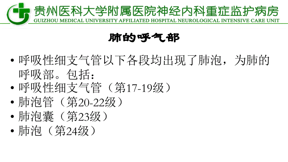 纤维支气管镜_第3页