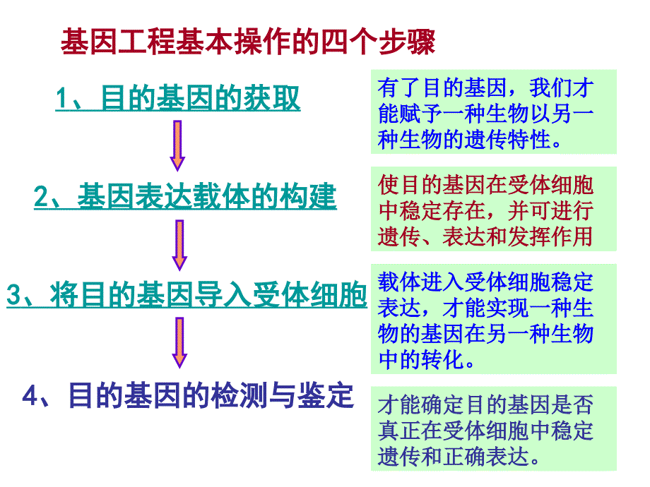 生物：1.2《基因工程的基本操作程序》课件1(新人教版选修3)_第2页