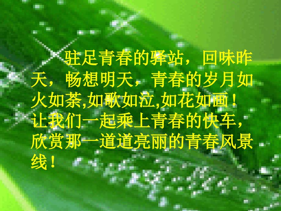 青春随想综合性学习_第2页