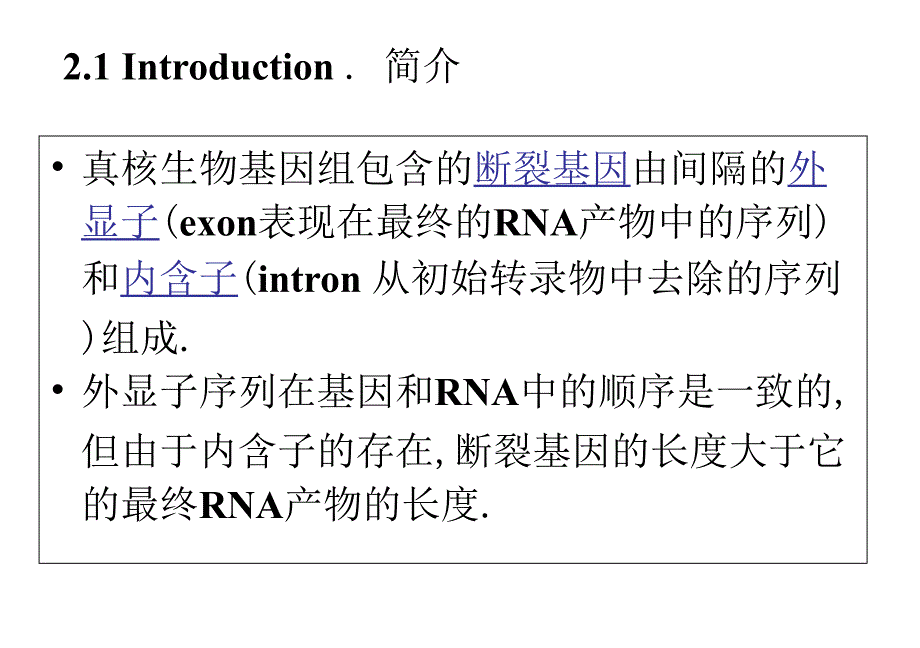 基础分子生物学课件chapter2_第2页