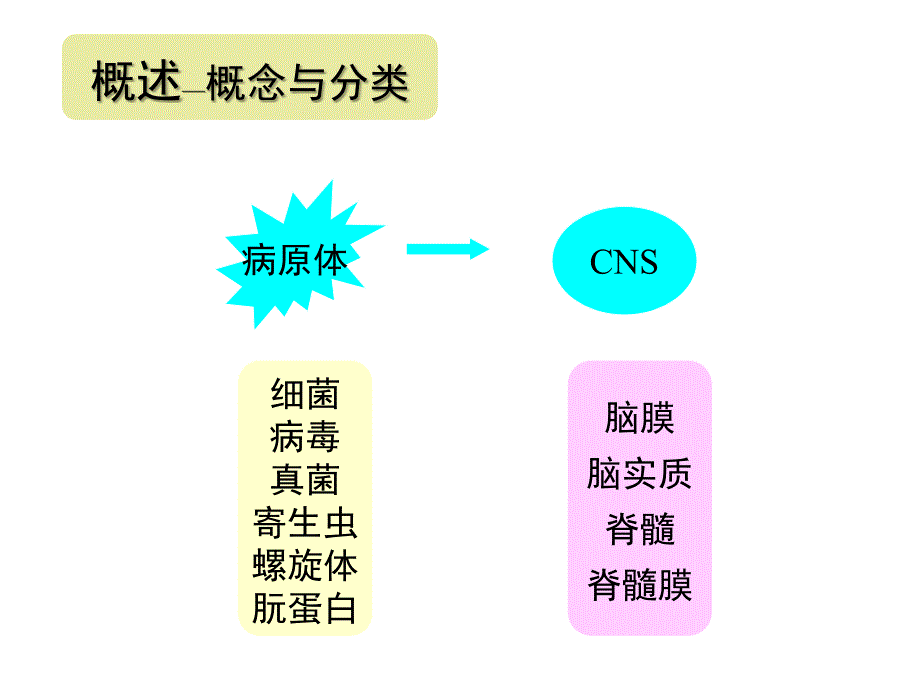 神经病学中枢神经系统感染性疾病_第4页