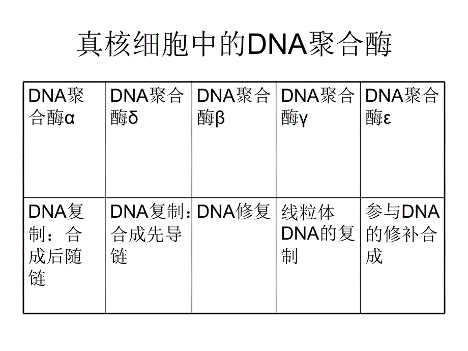 原核细胞dna复制_第3页