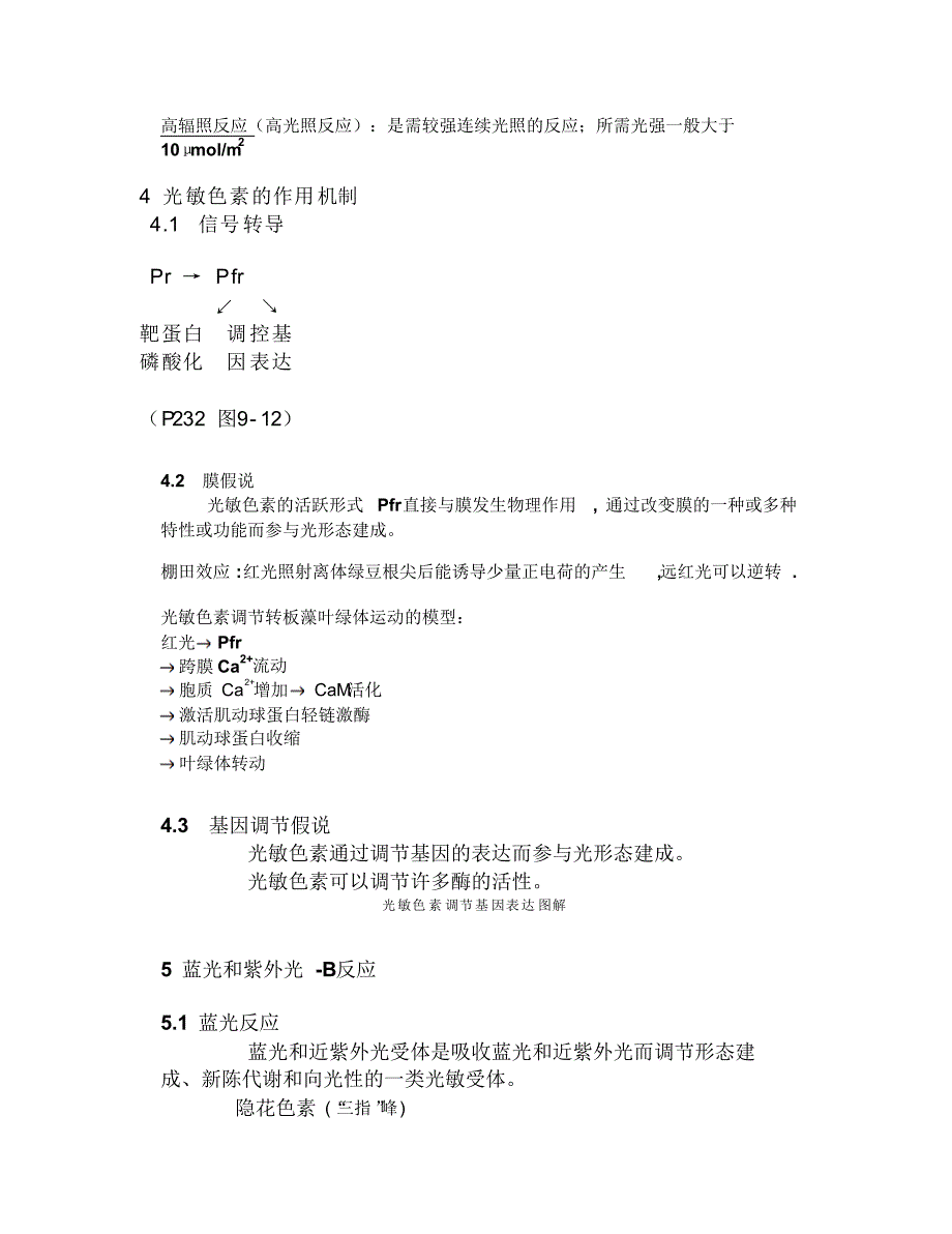 第8章光形态建成_第3页