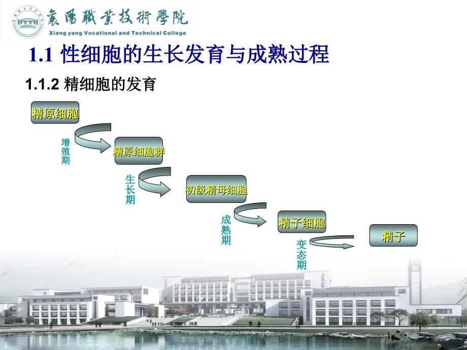 鱼类人工繁殖和苗种培育_第4页