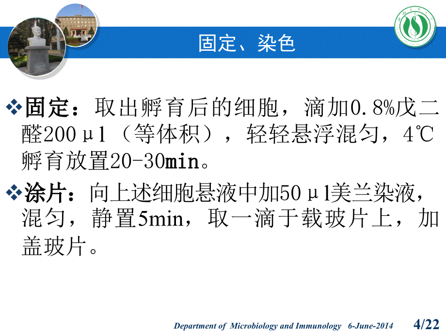 细胞免疫学实验20140606_第4页