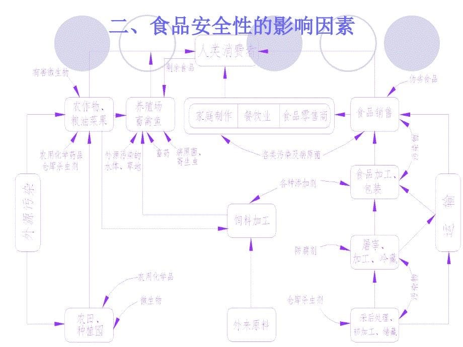 微生物与食品安全性_第5页