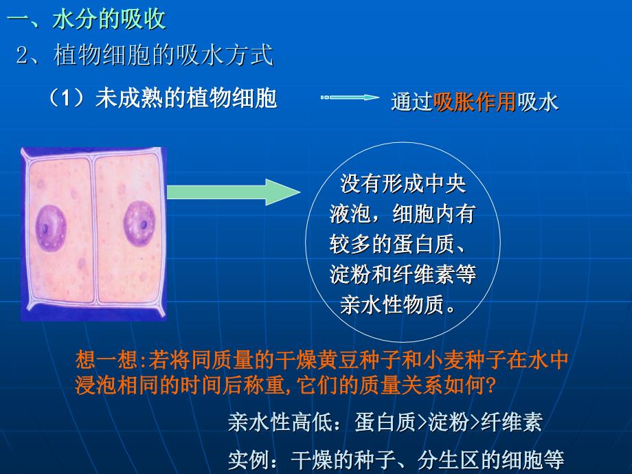 植物对水分的吸收(上课)_第4页