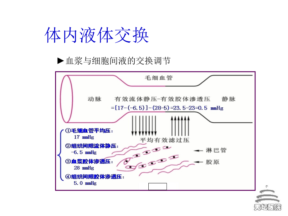 2015临床技能考核考前培训之三水电紊乱_第4页