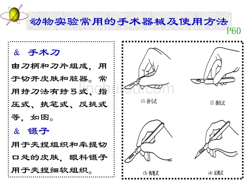 《机能实验学》临床,呼吸_第5页