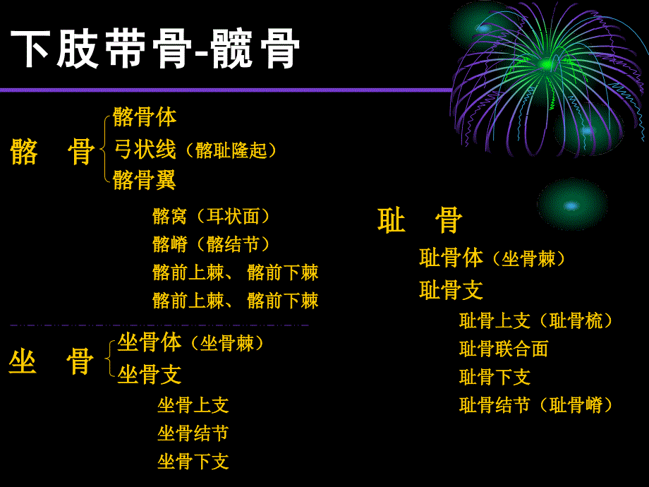 人体正常结构下肢骨及其连接_第3页