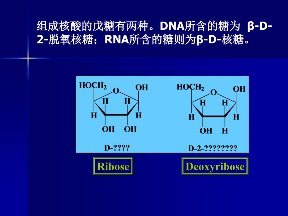 实验十三 动物组织核酸的分离、鉴定和含量测定_第4页