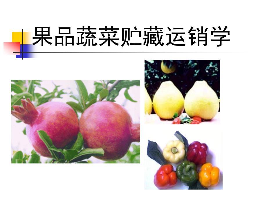 果品蔬菜贮藏运销学(一)_第1页