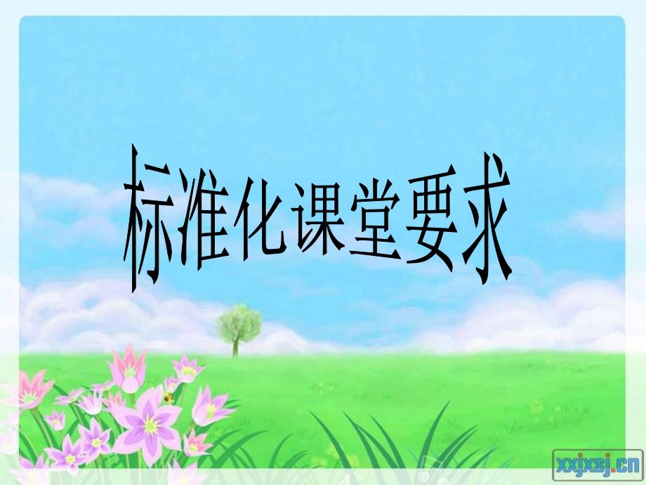 标准化课堂要求_第1页