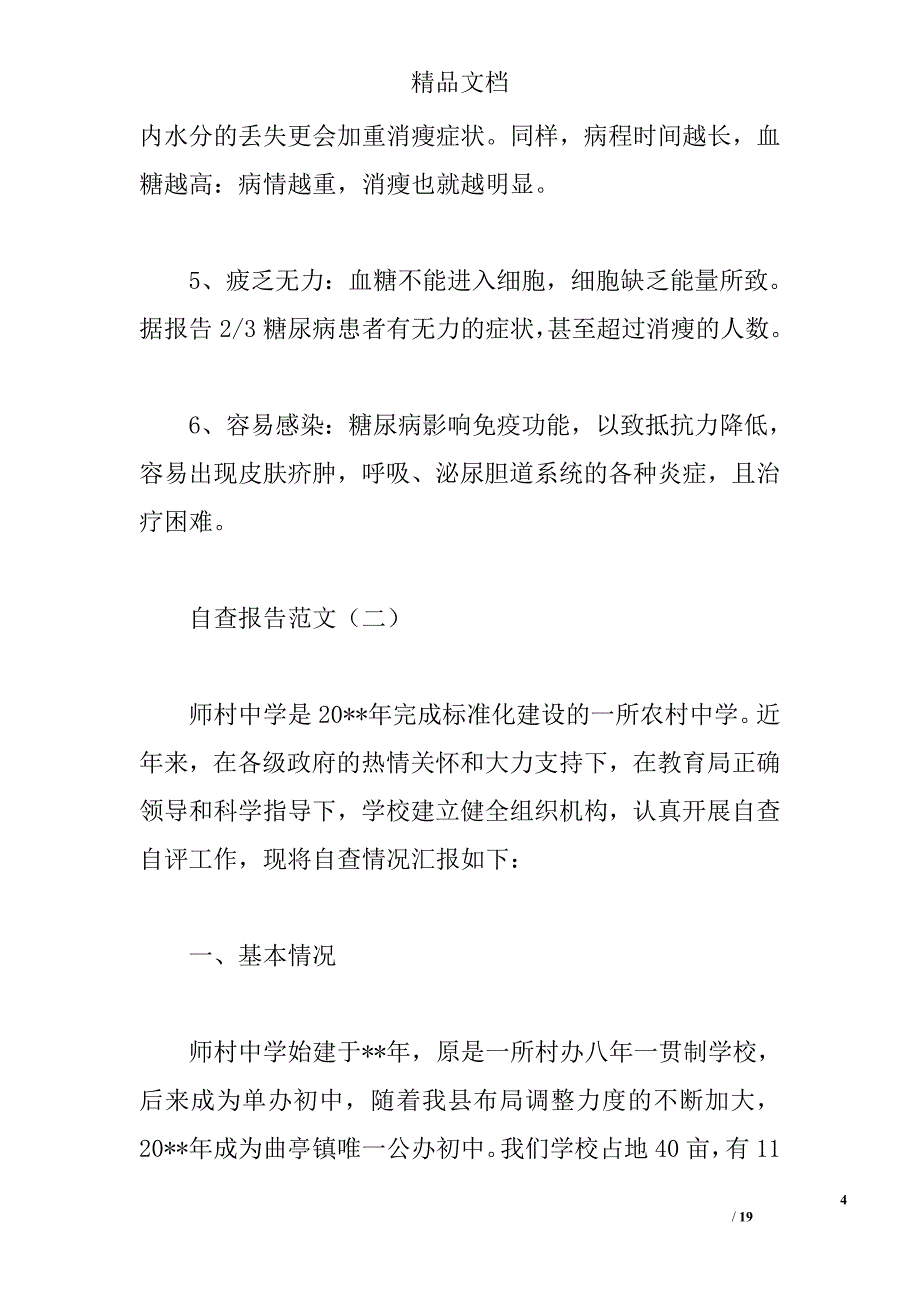 自查报告格式精选_第4页