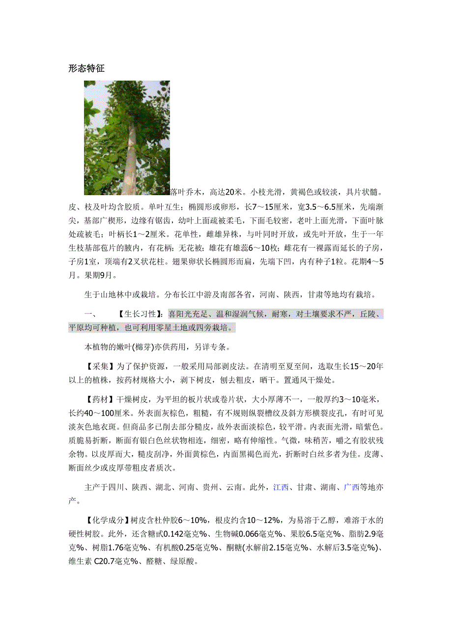 杜仲树形态特征_第1页
