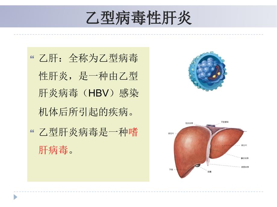 乙肝检验贾铁文_第4页