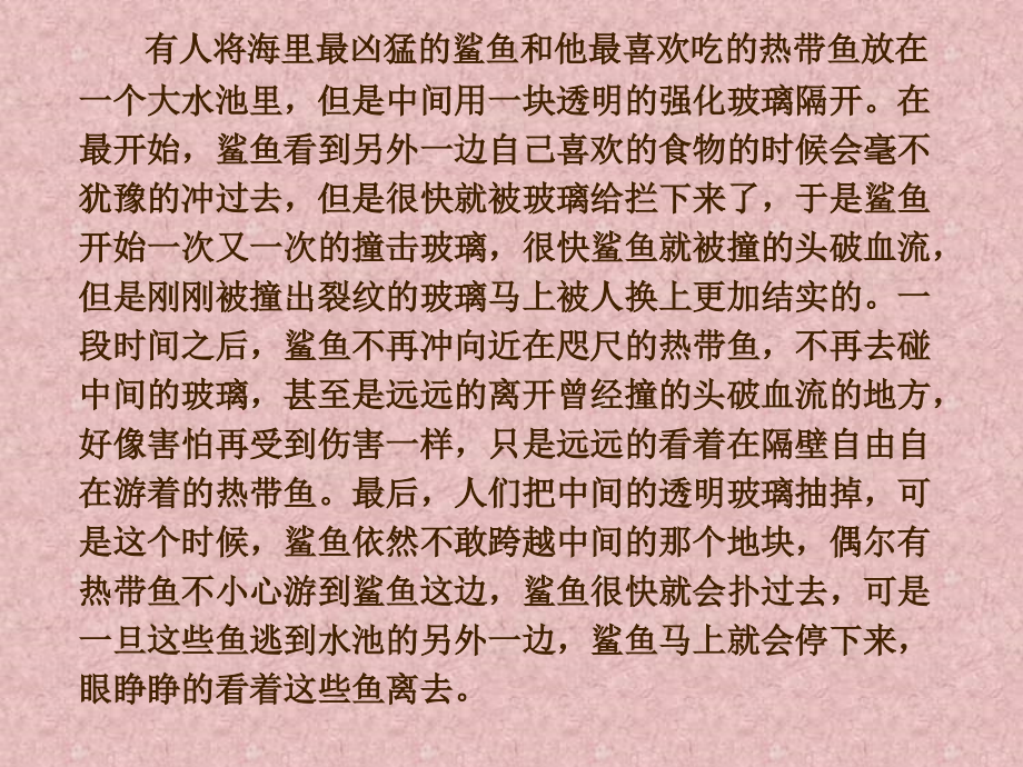 行为习惯养成主题班会ppt_第4页