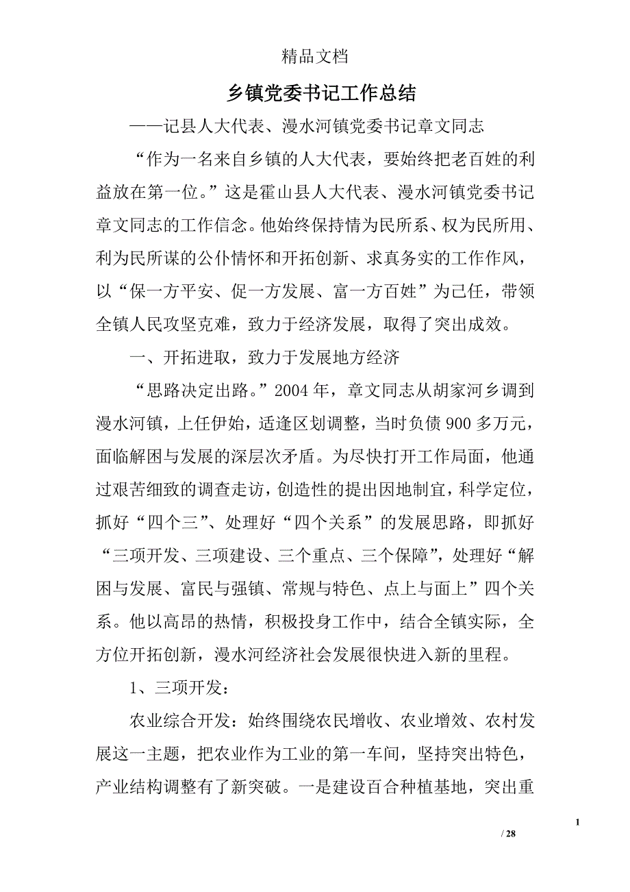 乡镇党委书记工作总结精选 _第1页