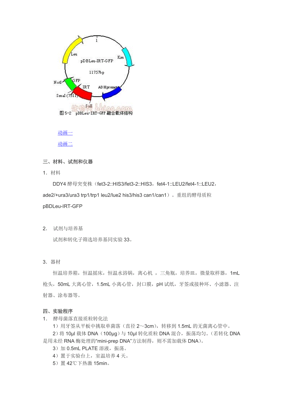 带gfp的质膜蛋白分选_第3页