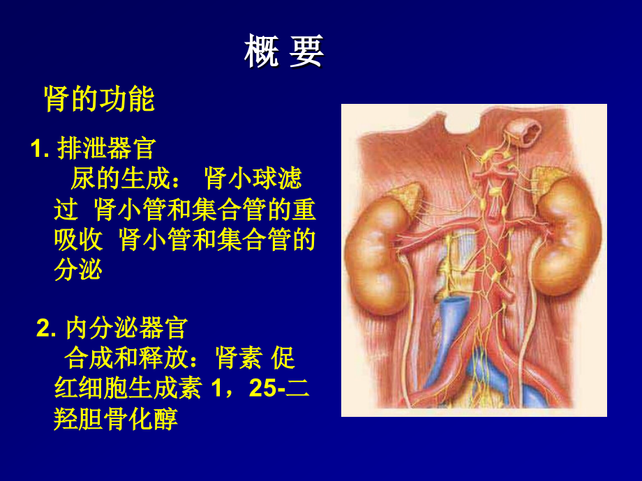 [临床医学]第八章 尿的生成和排出_第3页