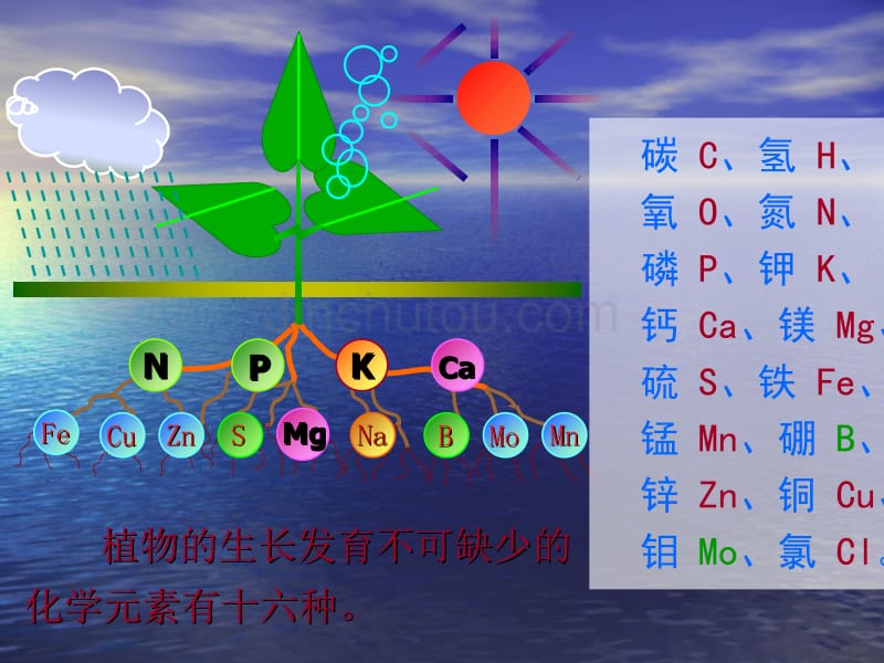 自然界中的氮循环_第3页