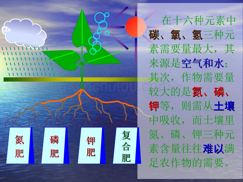 自然界中的氮循环_第4页