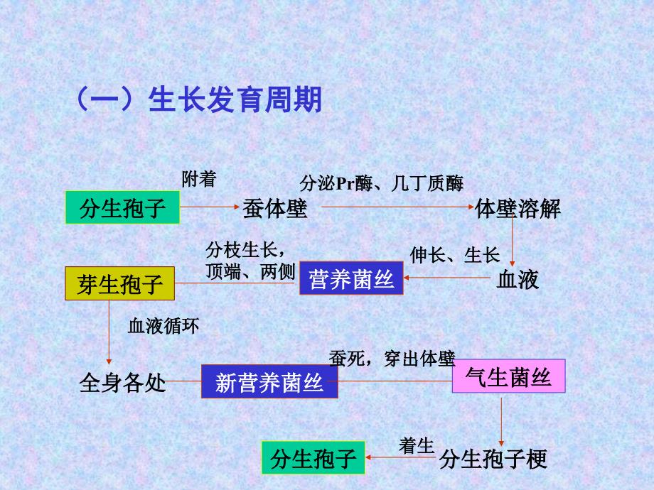 真菌是通过寄生和腐生从其他生物有机体获取营养来源的_第5页