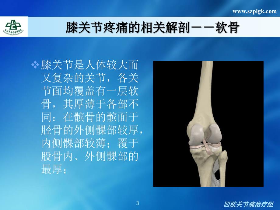 膝关节疼痛的诊疗_第3页