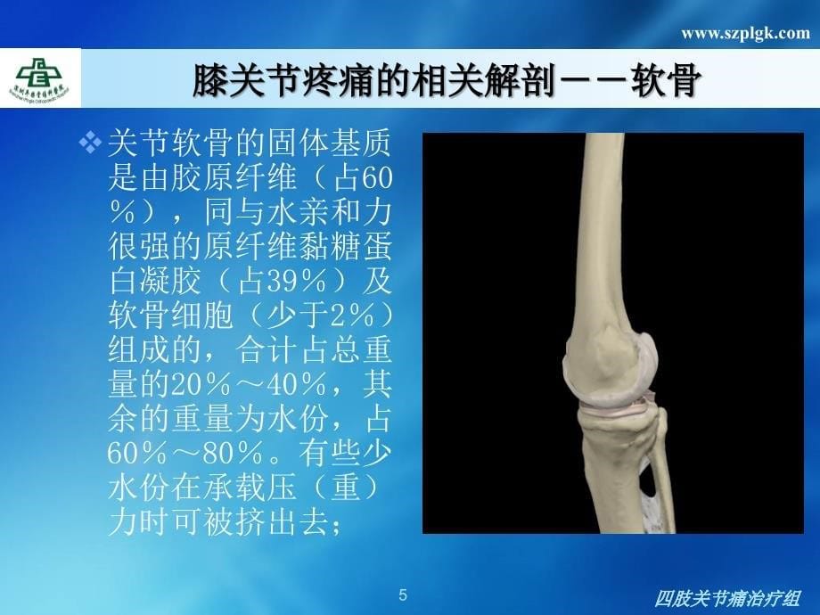 膝关节疼痛的诊疗_第5页