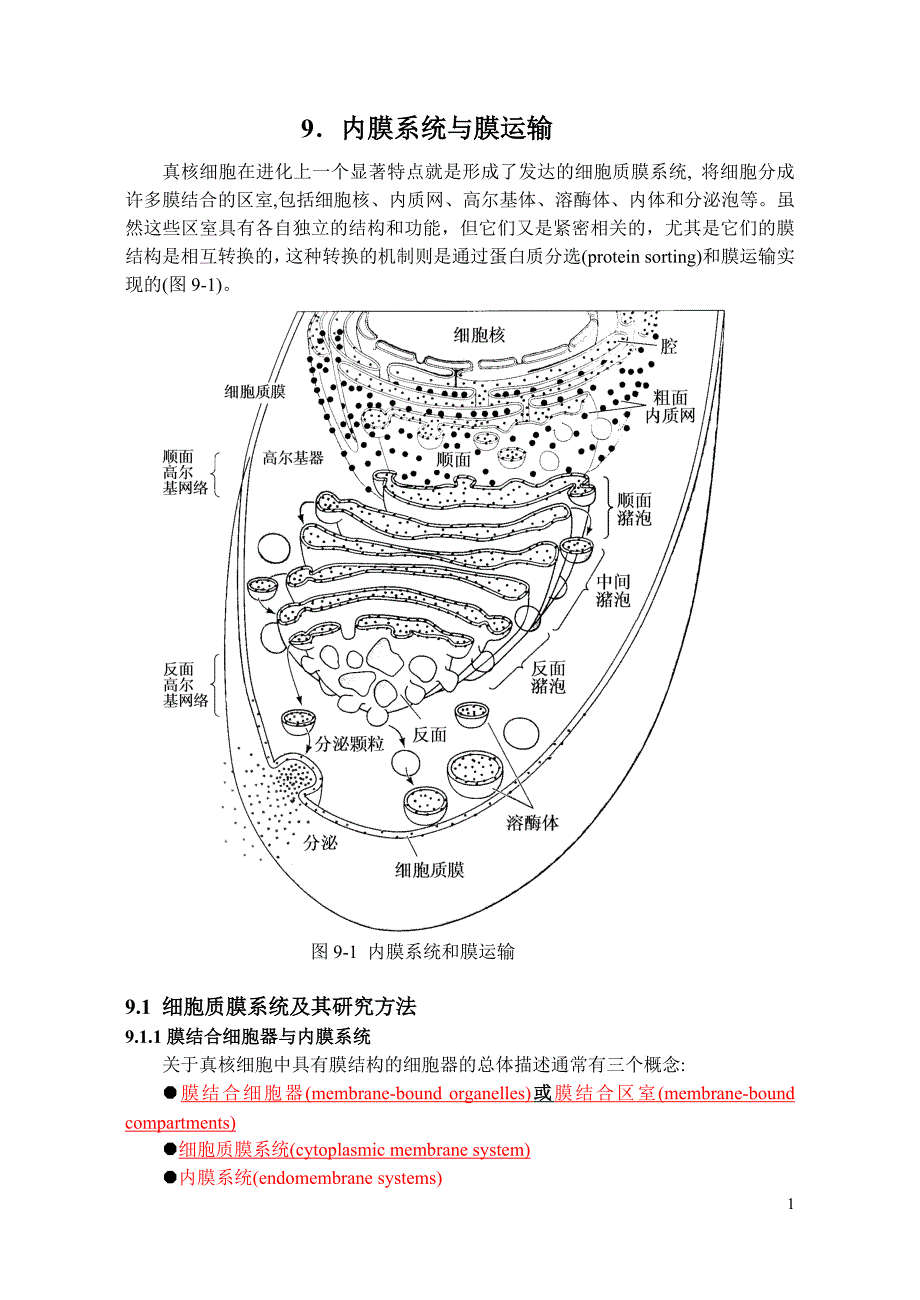 内膜系统与膜运输_第1页