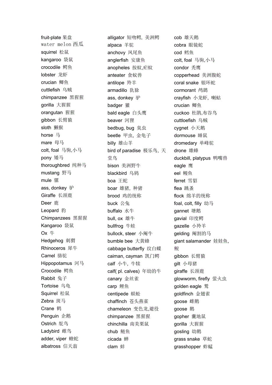 昆虫动物植物名字翻译_第3页