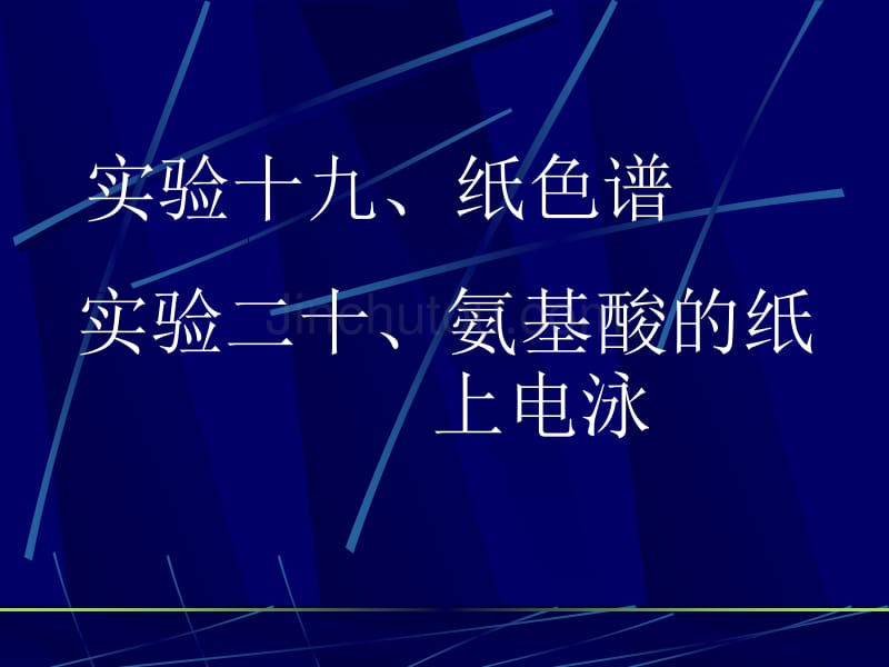 纸色谱和氨基酸的纸上电泳_第1页