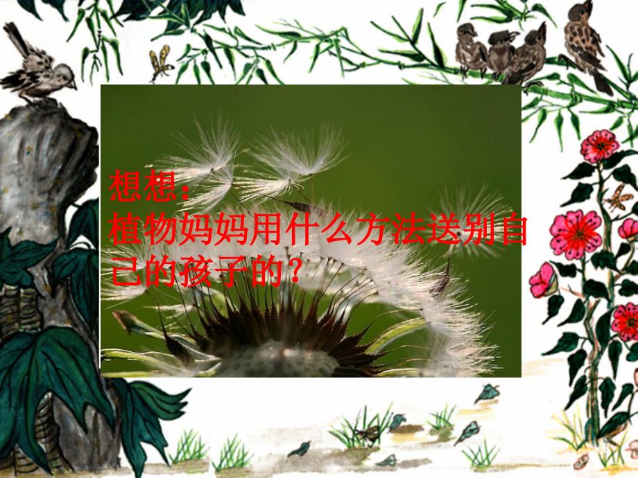 【优品课件】二年级语文上册课件 植物妈妈有办法_第2页