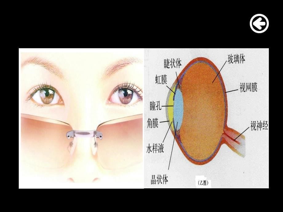 保护视力爱护眼睛_第5页