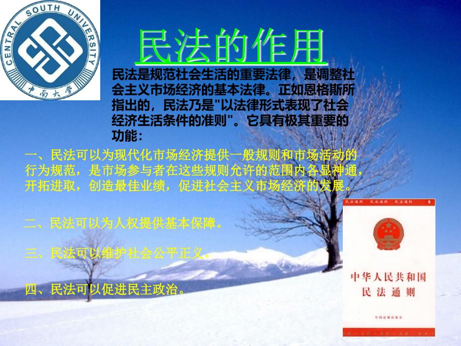 民法及其案例_第4页