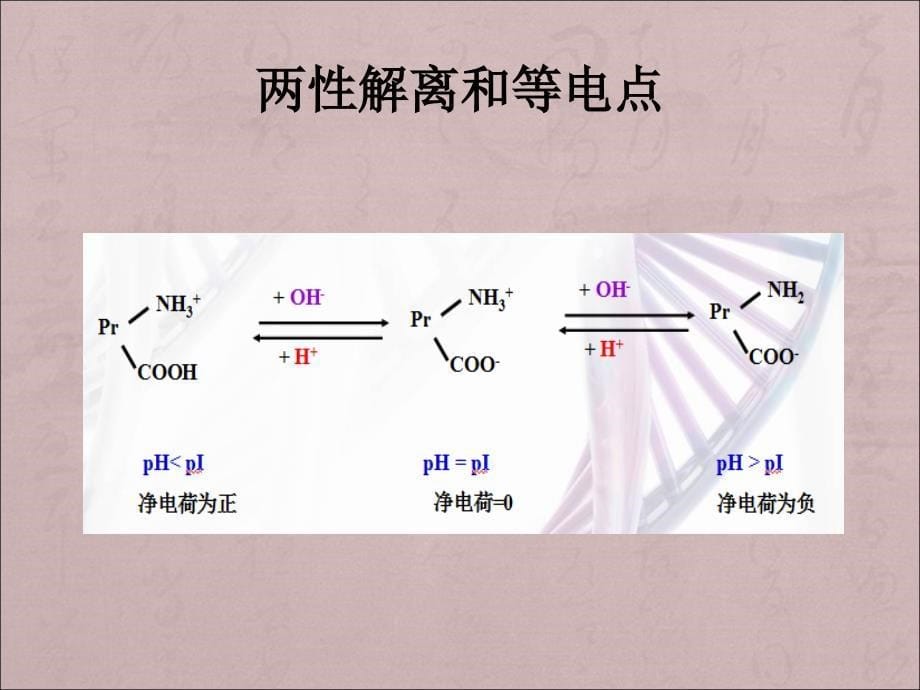 蛋白质沉淀技术_第5页