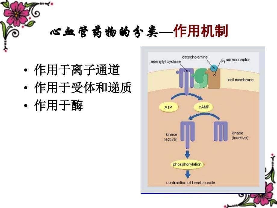 药物化学b受体阻滞剂_第5页