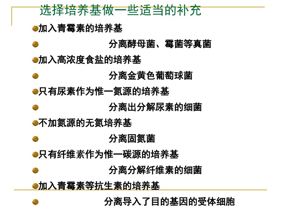 一轮复习课件：选修1生物技术实践模块_第4页